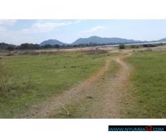 Plot for Sale in Salima