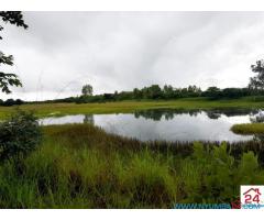 1020 Hectare Farm for Sale in Kasungu