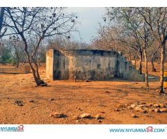 Cattle Farm for sale in Chikwawa