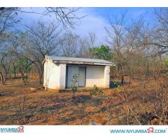 Cattle Farm for sale in Chikwawa