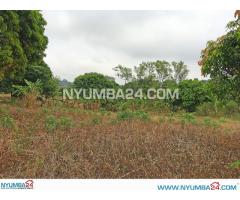 1 Hectare Land For Sale in Mpemba, Blantyre