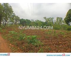 1 Hectare Land For Sale in Mpemba, Blantyre