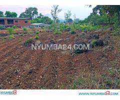 Land for Sale in Mulunguzi Zomba