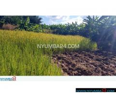 804 Hectare Farm For Sale in Nkhotakota