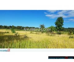 804 Hectare Farm For Sale in Nkhotakota