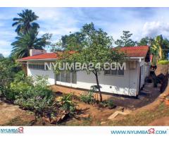 3 Bedroom House For Rent in Sunnyside, Blantyre