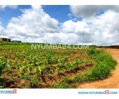 0.2125 Hectares For Sale in Chigumula Industrial Area (Namalowe), Blantyre