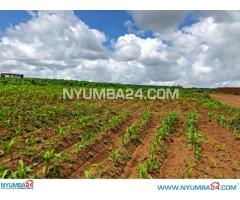 0.2125 Hectares For Sale in Chigumula Industrial Area (Namalowe), Blantyre