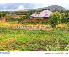 Residential Plot for Sale in Mpemba, Blantyre