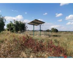 50 Hectare Farm For Sale in Santhe Kasungu