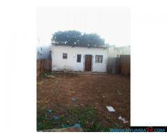 Shop For Sale In Balaka