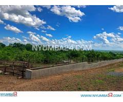 Farm for Sale in Chikwawa