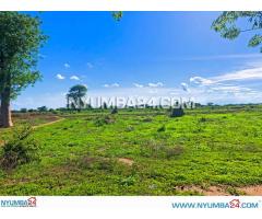 22 Hectares of Farmland For Sale in Chikwawa