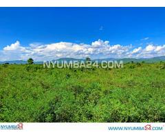 22 Hectares of Farmland For Sale in Chikwawa