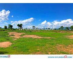 22 Hectares of Farmland For Sale in Chikwawa