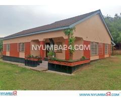 3 Bedroom House for Rent in Chigumula Blantyre