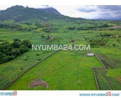 1 Hectare Property for Sale in Njuli Chiradzulu