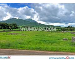 1 Hectare Property for Sale in Njuli Chiradzulu