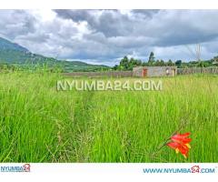 1 Hectare Property for Sale in Njuli Chiradzulu