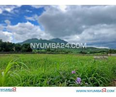 1 Hectare Property for Sale in Njuli Chiradzulu