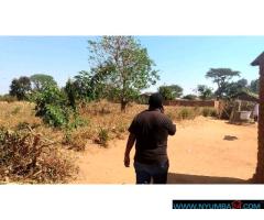 Plot for sale near Namitete Roadblock in Mchinji