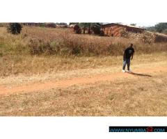 Plot for sale near Namitete Roadblock in Mchinji