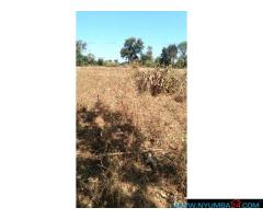 Plot for sale near Namitete Roadblock in Mchinji