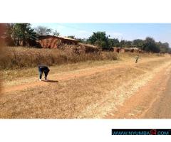 Plot for sale near Namitete Roadblock in Mchinji