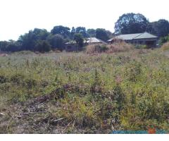 Plot for sale in Mpemba Blantyre