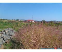 Plot for sale in Mpemba Blantyre