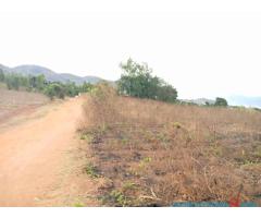 Plot for sale in Zomba