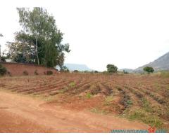 Plot for sale in Zomba