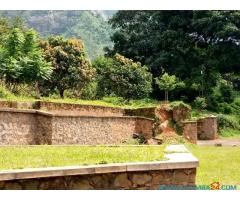 House with bigyard for sale in Zomba