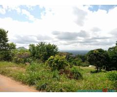 House with bigyard for sale in Zomba