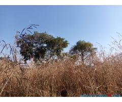 Plot for sale in Lunzu