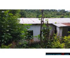 Plot For Sale at Sunnyside In Blantyre