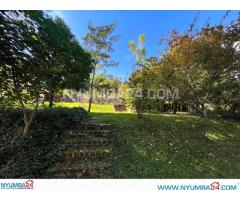 4 Bedroom House with Swimming Pool for Rent in Sunnyside Blantyre